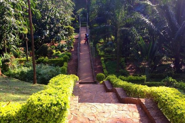 bois-sainte-anastasie